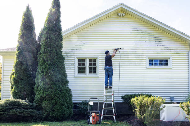 Pre-Holiday Cleaning in Hughesville, PA